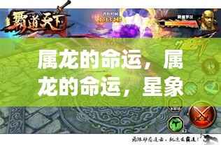 属龙的命运,星象指引下的属龙人生轨迹