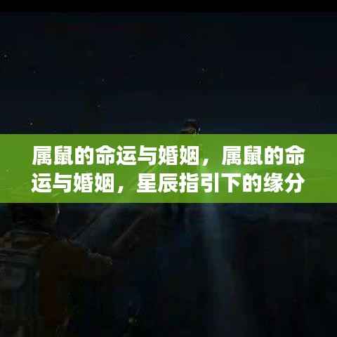 花开无言 第4页