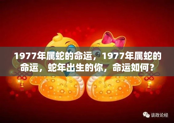 揭秘属蛇命运,1977年出生者的蛇年运势解析