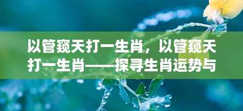 探寻生肖运势与星座的神秘联系,以管窥天揭示生肖之谜