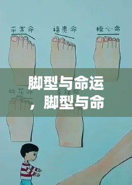 揭秘脚型与命运,脚下的未来走向之谜