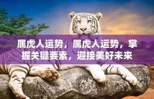 属虎人的运势走向,掌握关键要素,展望美好未来