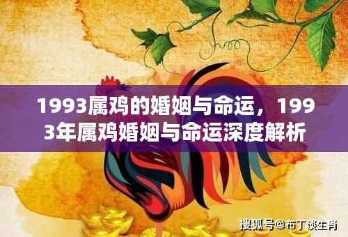 1993年属鸡婚姻与命运深度解析,探寻鸡年出生的情感与人生轨迹