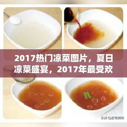 『夏日清凉盛宴,2017热门凉菜精选与美食图片』