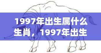 揭秘1997年属牛人的星座运势,如何把握星象助力人生辉煌?