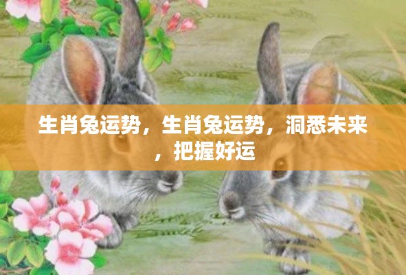 生肖兔运势揭秘,洞悉未来,把握好运良机