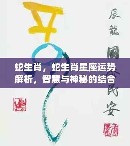 蛇生肖运势解析,智慧与神秘的交织之力