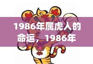 1986年属虎人的命运展望与解析
