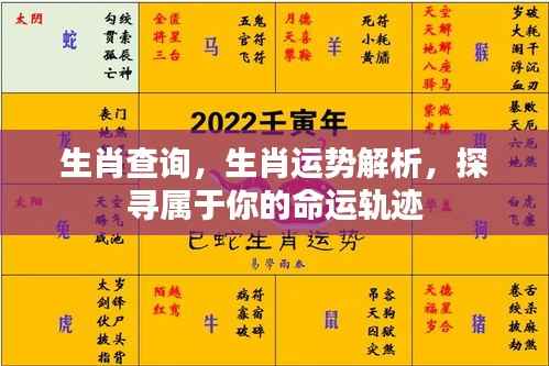 生肖运势解析,探寻个人命运轨迹与生肖关系