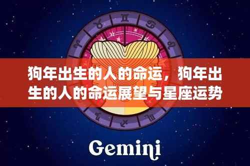 狗年出生人士的运势展望与星座解读,命运的轨迹与星座的影响分析
