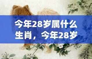 今年28岁属生肖运势展望与个性解析
