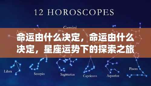 探索之旅,命运由何决定,星座运势下的命运轨迹