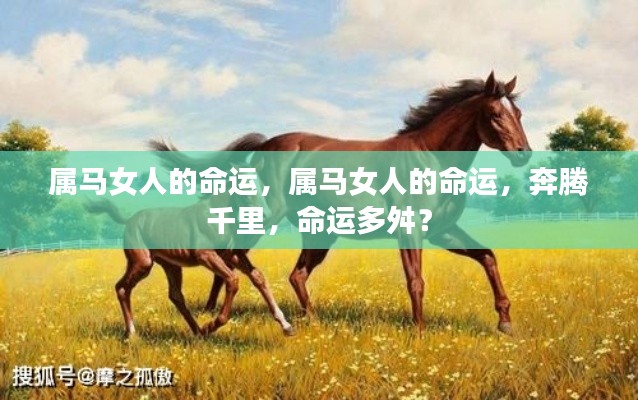 属马女人的命运,奔腾之路,命运如何?