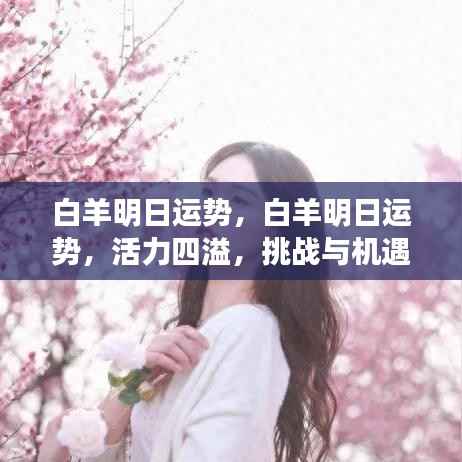 白羊明日运势展望,活力挑战与机遇并存