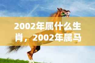 2002年属马人的生肖运势与命运驾驭指南