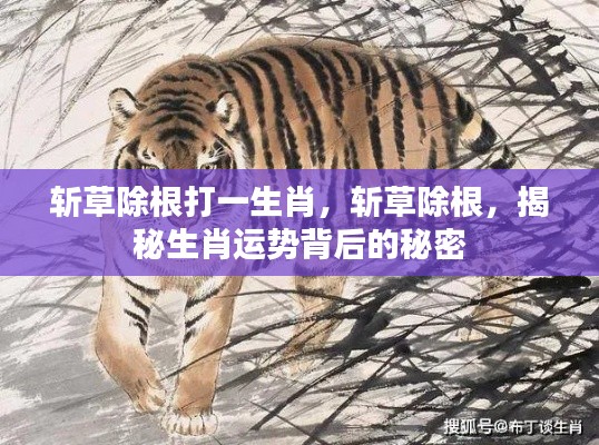 揭秘生肖运势背后的秘密,斩草除根,探寻生肖之力