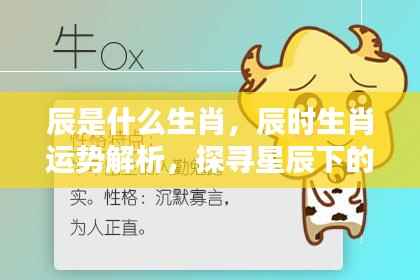 辰时生肖运势揭秘,探寻星辰下的秘密与生肖运势解析