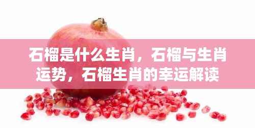 石榴生肖揭秘,运势与幸运解读全解析