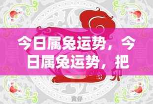 今日属兔运势详解,把握机遇,顺风顺水前行