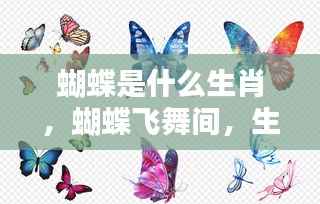 蝴蝶飞舞间揭秘生肖运势,蝴蝶与生肖的神秘关联