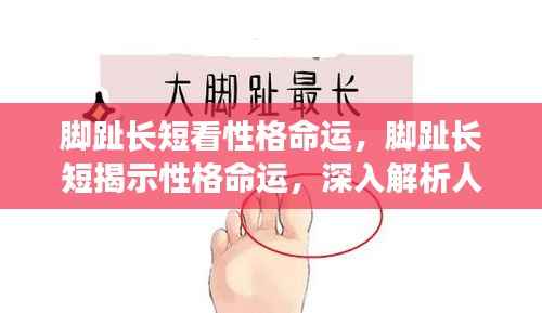 脚趾长短揭示性格命运之谜,探索人与命运的微妙联系之道