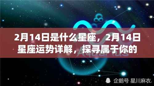 2月14日星座运势揭秘,探寻属于你的星座奥秘