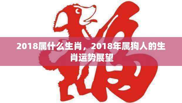 2018年属狗人的生肖运势展望,探寻生肖运势与未来走向