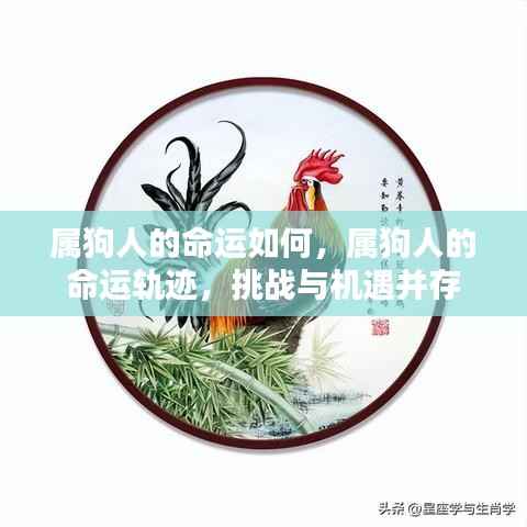 灰飞湮灭 第4页