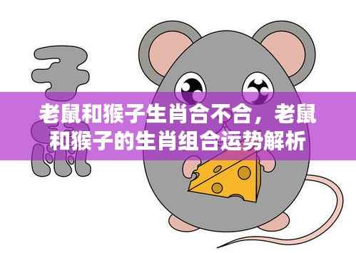 老鼠与猴子的生肖组合运势解析,合作是否和谐?