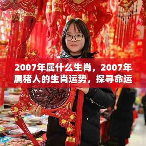 2007年属猪人的生肖运势与命运探索,机遇与挑战并存