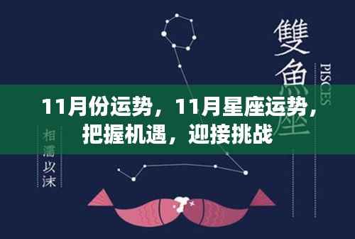 11月星座运势指南,把握机遇,迎接挑战