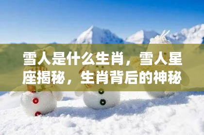 揭秘雪人星座与生肖的神秘缘分,生肖揭晓与星座探索