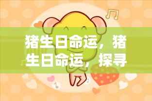 生肖猪的吉祥人生轨迹,探寻猪生日命运与吉祥人生之路
