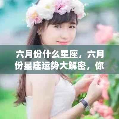 揭秘六月份星座运势,星座特性与六月表现的深度解析