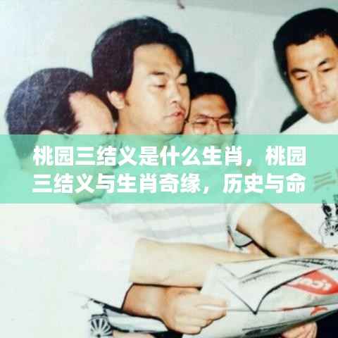 尖嘴猴腮 第3页