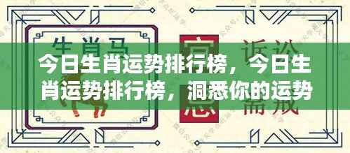 今日生肖运势大揭秘,运势排行榜洞悉你的运势起伏!
