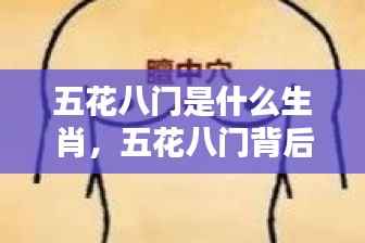 五花八门背后的生肖奥秘探索，究竟是哪个生肖如此多样？