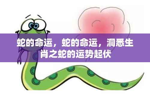 生肖蛇运势大揭秘,洞悉命运起伏,掌握未来走向