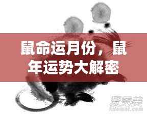 不同月份出生的属鼠人命运走势揭秘,鼠年运势深度解析