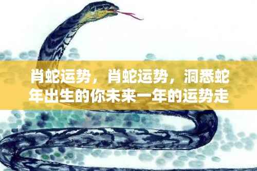 蛇年出生运势展望,洞悉未来一年的运势走向