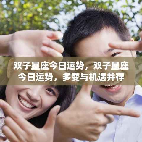 双子星座今日运势,多变与机遇并存,掌握运势变化的关键时刻