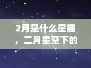 二月星座运势解析,星空下的星座运势展望