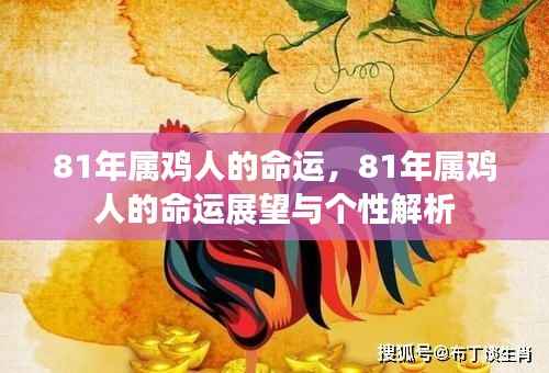81年属鸡人的命运展望与个性深度解析