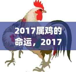 2017年属鸡人的命运展望，机遇与挑战并存