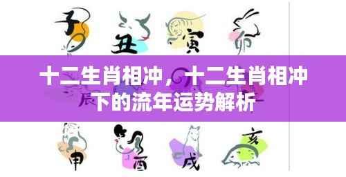 十二生肖相冲流年运势深度解析与应对策略