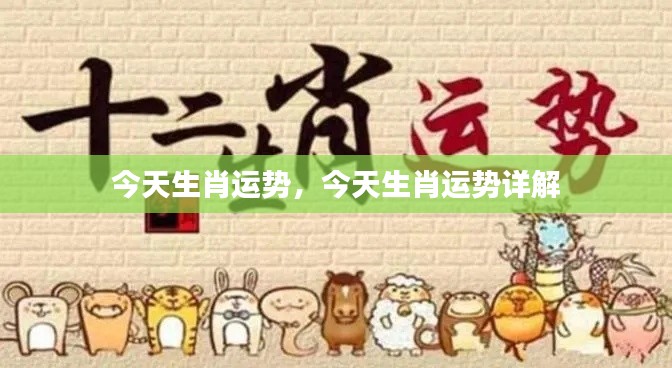 今日生肖运势详解,全方位解析你的生肖运势!