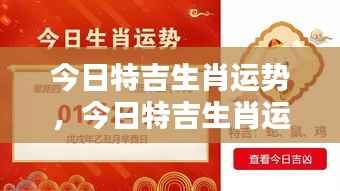 今日特吉生肖运势详解及预测