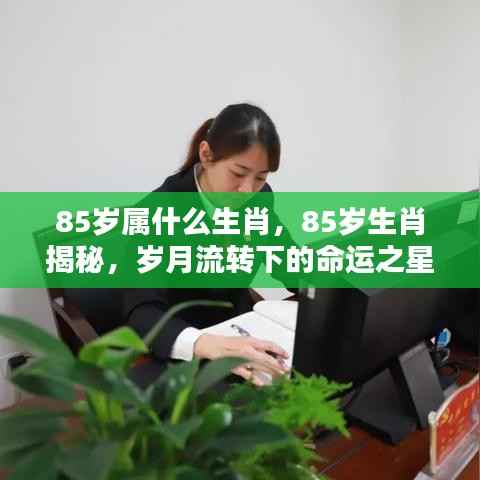 揭秘生肖奥秘,探寻85岁命运之星