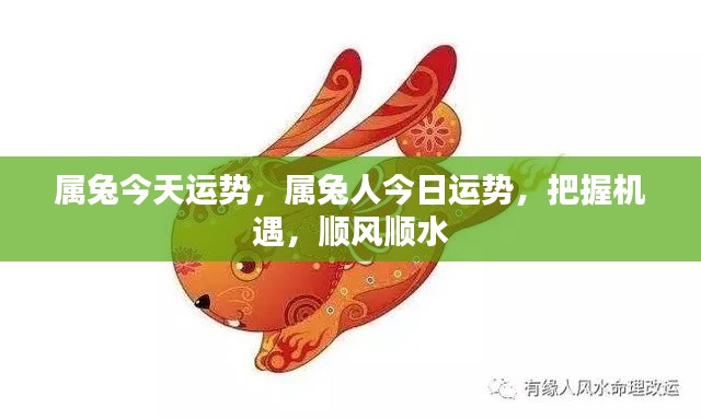 属兔今日运势大揭秘,把握机遇,顺风顺水