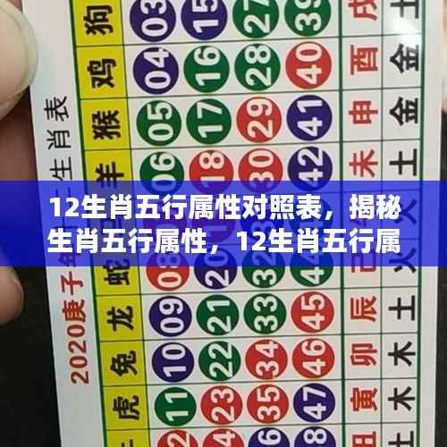 揭秘生肖五行属性,深度解析12生肖五行属性对照表